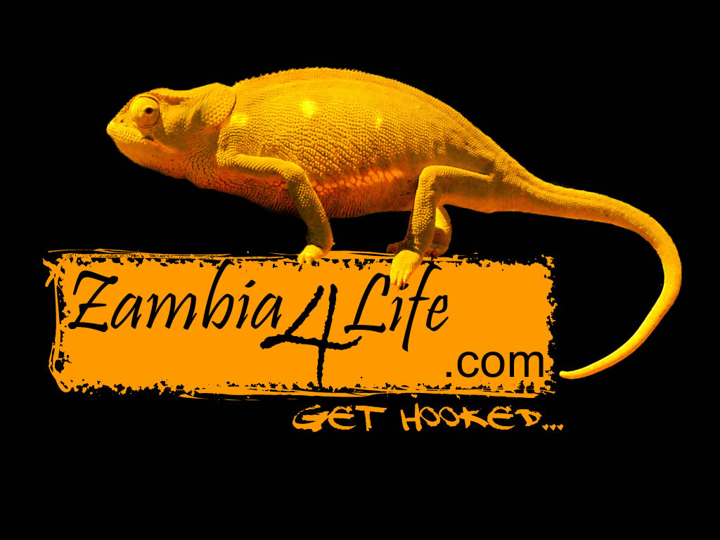Zambia4life.com Music Entertainment Trends News Art Life